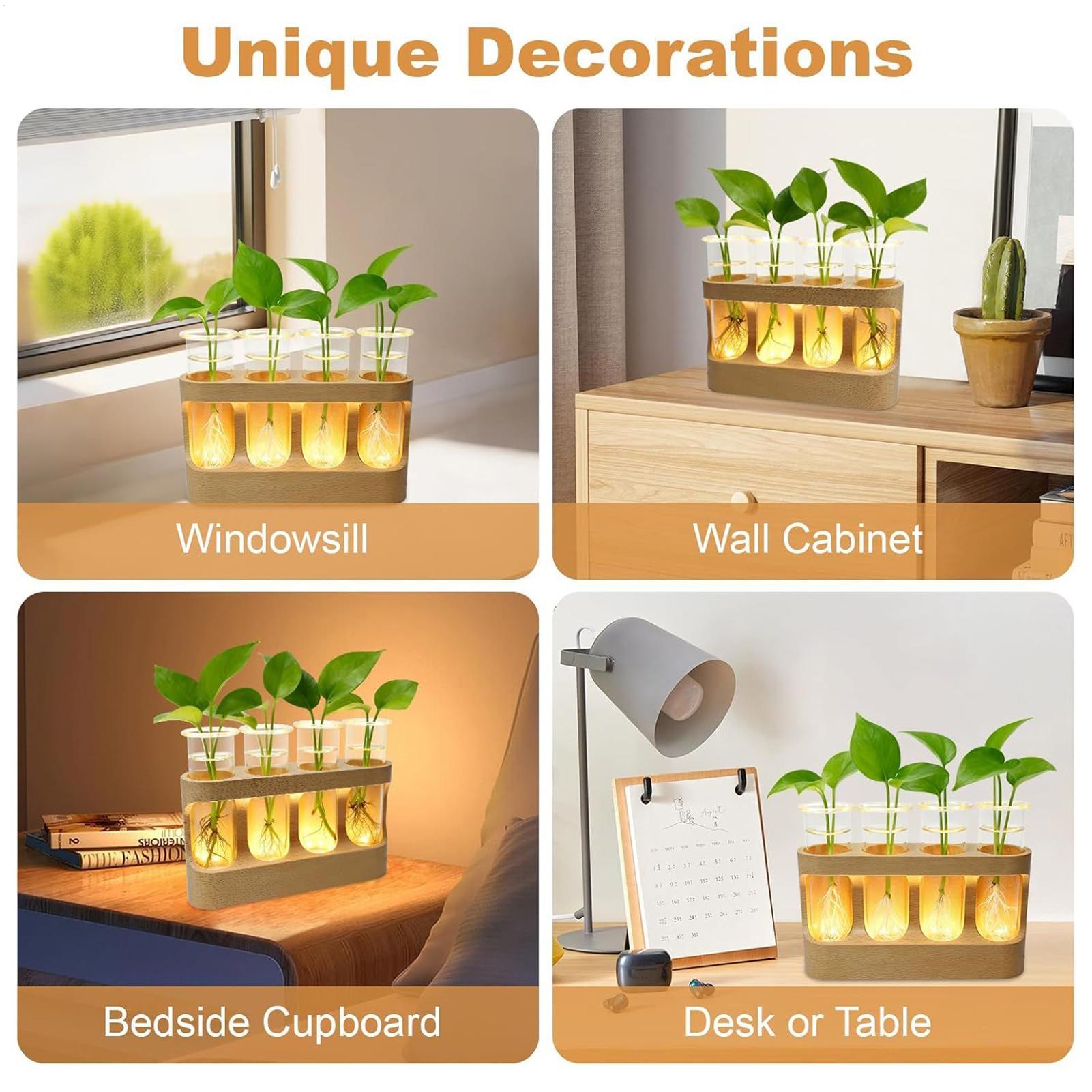 LED-Pflanzenvermehrungsstation – Home Decor Youtube Bewertung und Preis